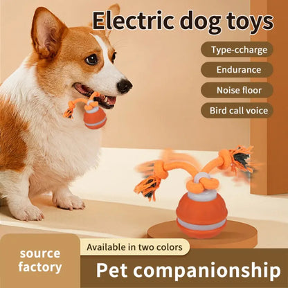 Smart Rolling Ball Toy for Dogs, Indoor Training Ball, Electric Pet Stimulation & Fun, Durable Bite-Resistant Design, Ideal for Boredom Relief