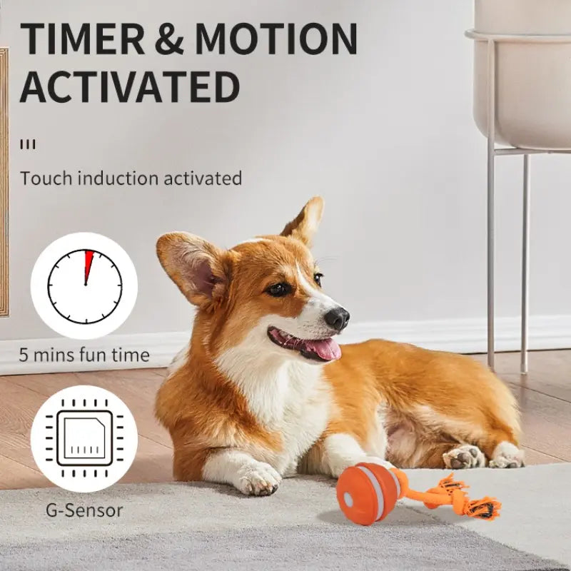 Smart Rolling Ball Toy for Dogs, Indoor Training Ball, Electric Pet Stimulation & Fun, Durable Bite-Resistant Design, Ideal for Boredom Relief